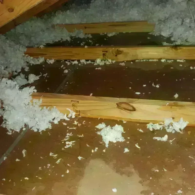 Attic Water Damage in Dunwoody, GA