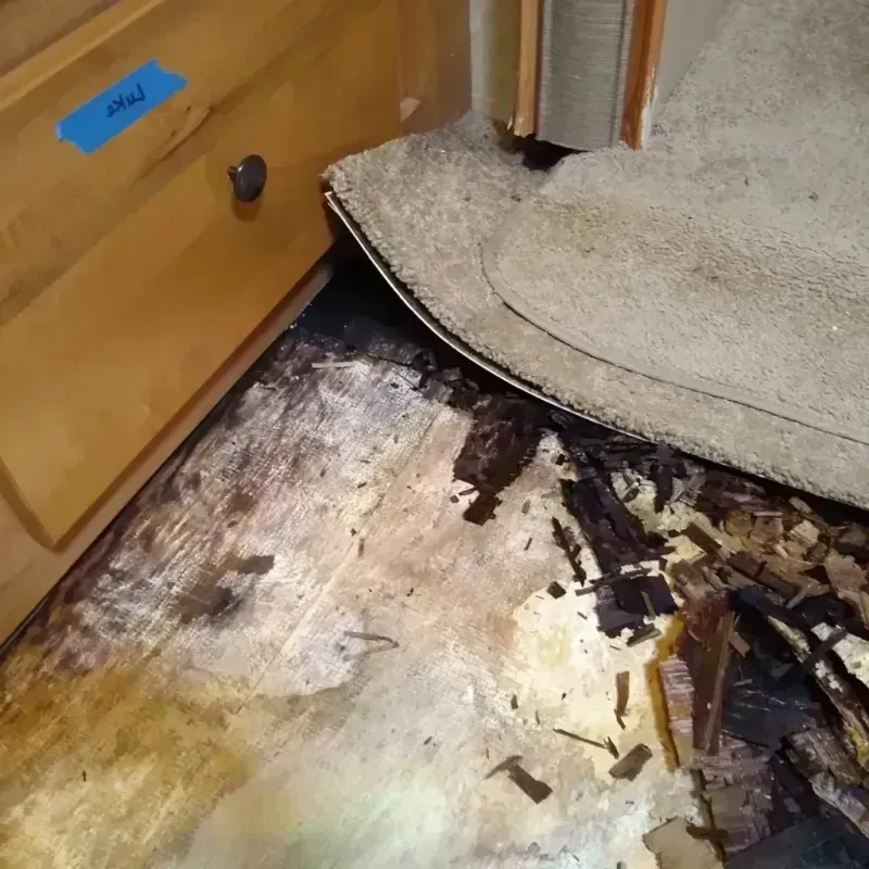 Wood Floor Water Damage in Dunwoody, GA